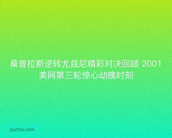 桑普拉斯逆转尤兹尼精彩对决回顾 2001美网第三轮惊心动魄时刻 桑普拉斯逆转尤兹尼精彩对决回顾 2001美网第三轮惊心动魄时刻