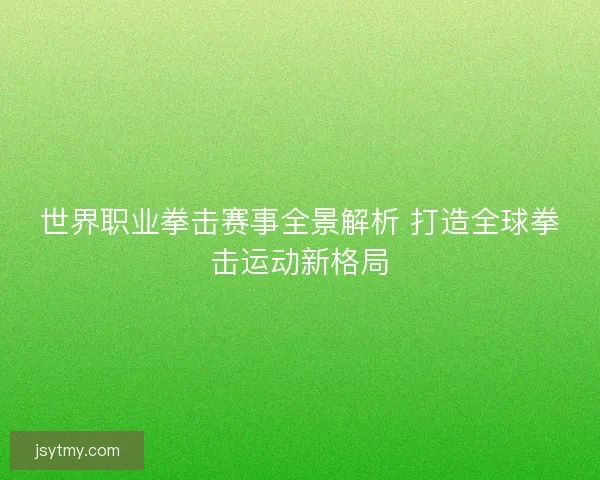 世界职业拳击赛事全景解析 打造全球拳击运动新格局